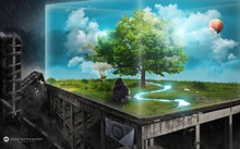 trees cityscapes creative wild 1920x1200 wallpaper 
